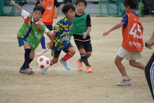 LINE ALBUM 20260823-練習② 260826 36