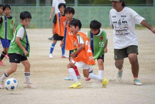 LINE ALBUM 20260824-練習① 260826 299