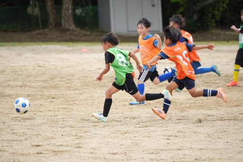 LINE ALBUM 20260829-練習 260830 267 (1)